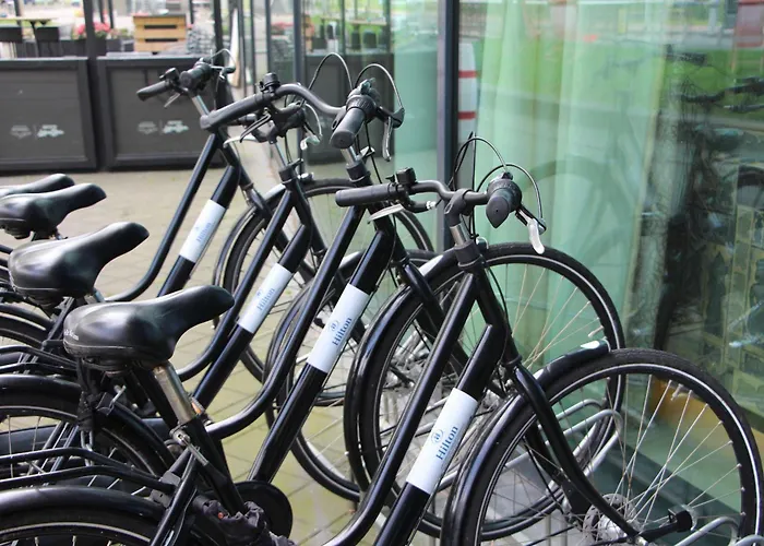 酒店 阿姆斯特丹史基浦机场希尔顿酒店 史基浦