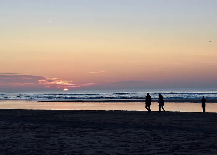 酒店 阿姆斯特丹史基浦机场希尔顿酒店